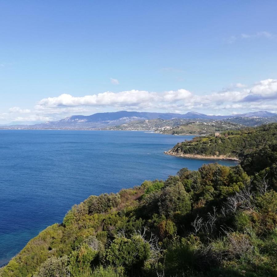 Panoramic Apartments In Villa In Center "The Beach And The Cliff" 1 Agropoli Eksteriør billede
